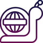 slow reporting slow reporting